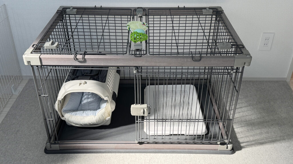 子犬の初日から絶対に要るもの(ペット用品)