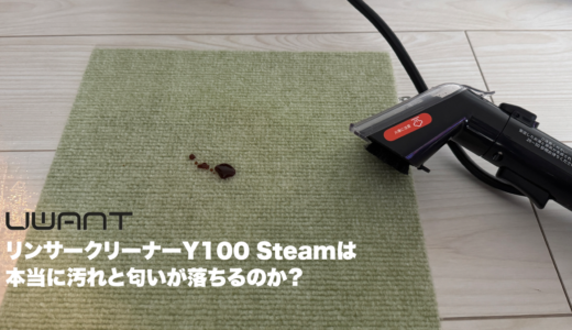 UWANT リンサークリーナー Y100 Steam レビュー